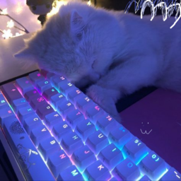 ~`! SiLeth Ang3l Cat`~'s avatar
