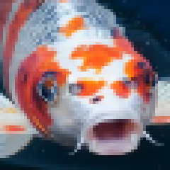 Yōko Tamagawa's avatar