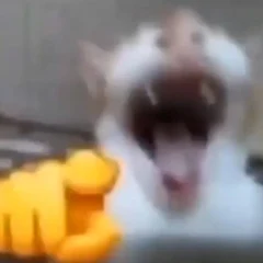 Master-of-Deceit's avatar